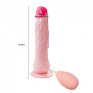 pune adult toy