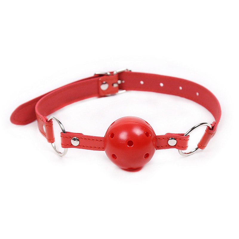 gag ring Play BDSM Kit-products of delhisextoystore